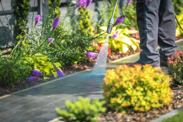 Best Pool Deck Cleaning  in Riverdale, IL