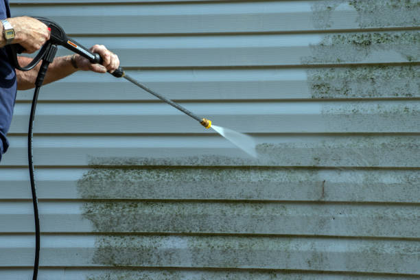 Best Graffiti Removal  in Riverdale, IL